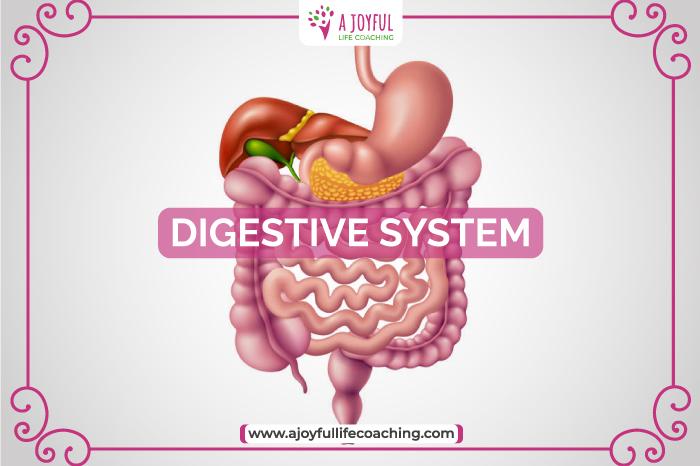 What is Unhealthy Gut